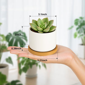 ZOUTOG succulent pots with bamboo tray for organized drainage