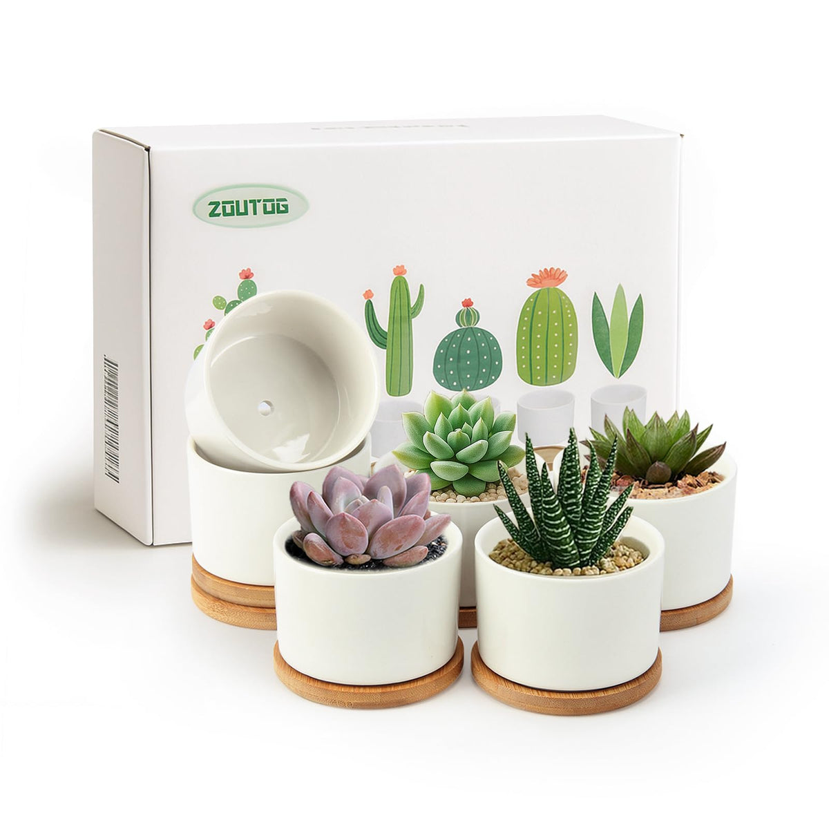 ZOUTOG 3.1-inch white ceramic succulent pot for compact desks