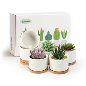ZOUTOG 3.1-inch white ceramic succulent pot for compact desks