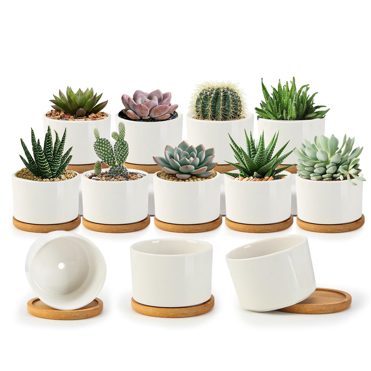 ZOUTOG succulent pots 3.1 inch with drainage holes for healthy watering on a sunny windowsill