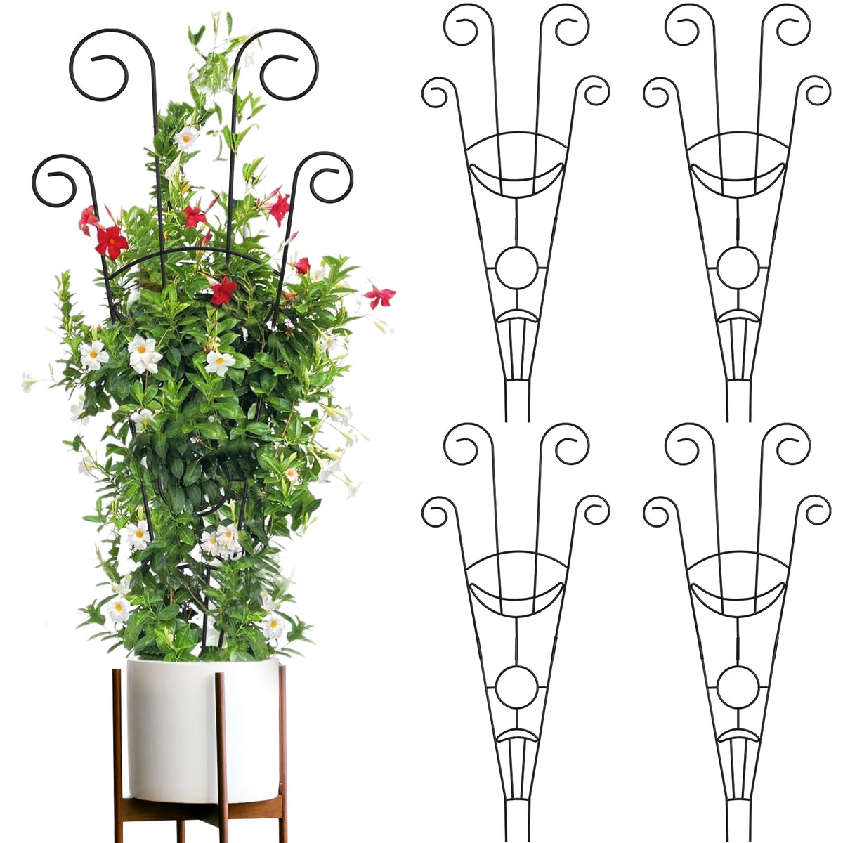 ZOUTOG trellis 30-inch four-pack ready for tall climbers and easy arrangement.