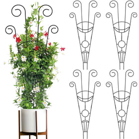 ZOUTOG trellis 30-inch four-pack ready for tall climbers and easy arrangement.