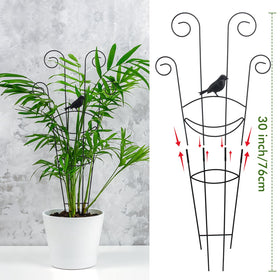 ZOUTOG ivy and pothos training with vertical support.