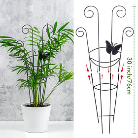 ZOUTOG 30in design strengthens support for wisteria vines.