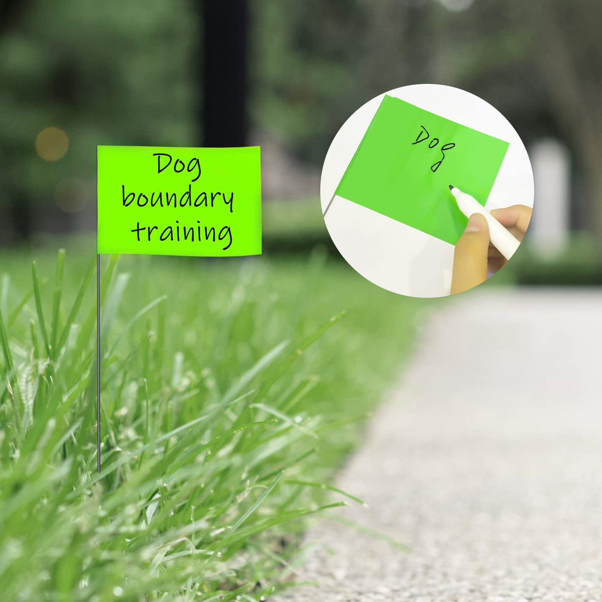 Zozen green closeup highlights color options for easy zone coding on sites.