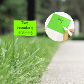 Zozen green closeup highlights color options for easy zone coding on sites.