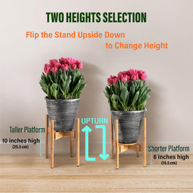 ZPirates plant stand provides space-saving design for living rooms and patios.