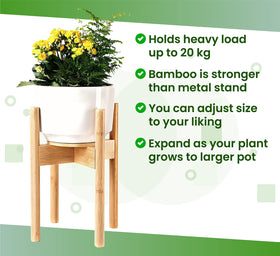 ZPirates floor-ready stand protects floors with included foot pads.
