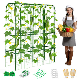 ZPMOCKAQ 62in tall cucumber trellis provides sturdy climbing support