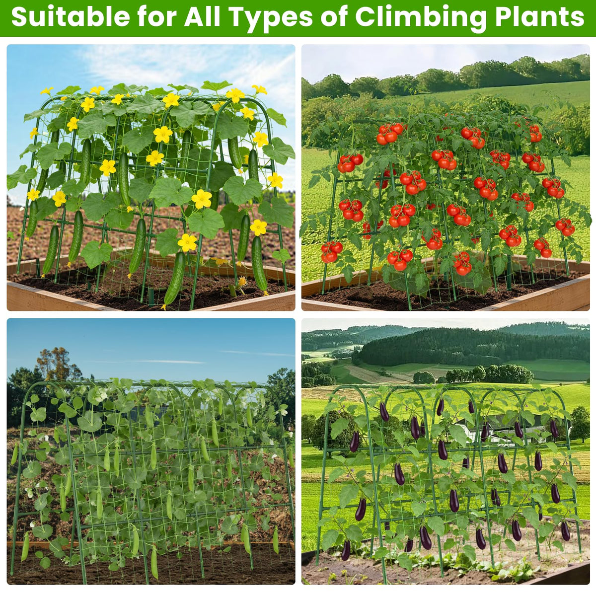 ZPMOCKAQ leaf ties x100 help secure vines without damage.