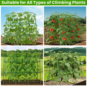 Versatile garden trellis supporting vegetables and fruits in outdoor beds