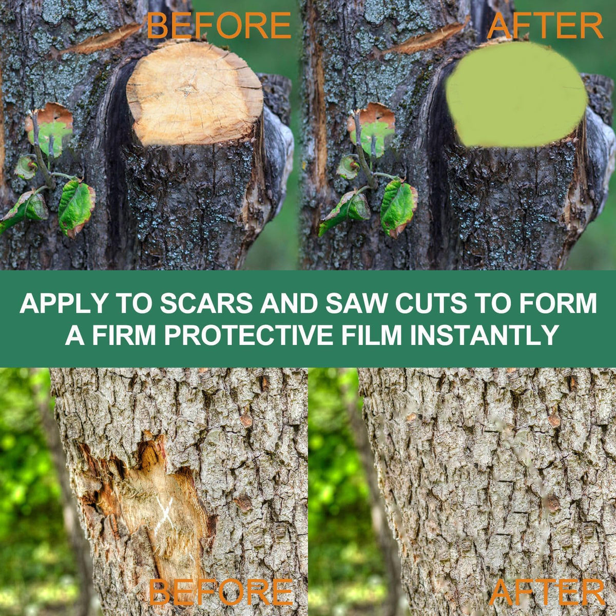 Zriechs Bonsai Pruning Sealer dressing applied to a branch