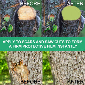 Zriechs Tree Wound Sealer application on wounds speeds sealing and recovery.