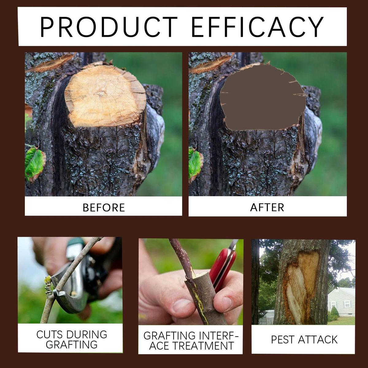 Zriechs Tree Wound Sealer bottle cap keeps paste fresh and secure