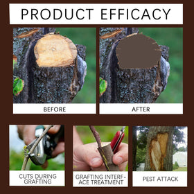 Zriechs Tree Wound Sealer bottle cap keeps paste fresh and secure