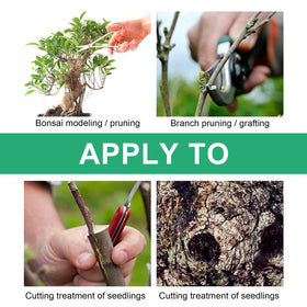 Zriechs Tree Wound Sealer dries quickly to minimize nutrient loss.