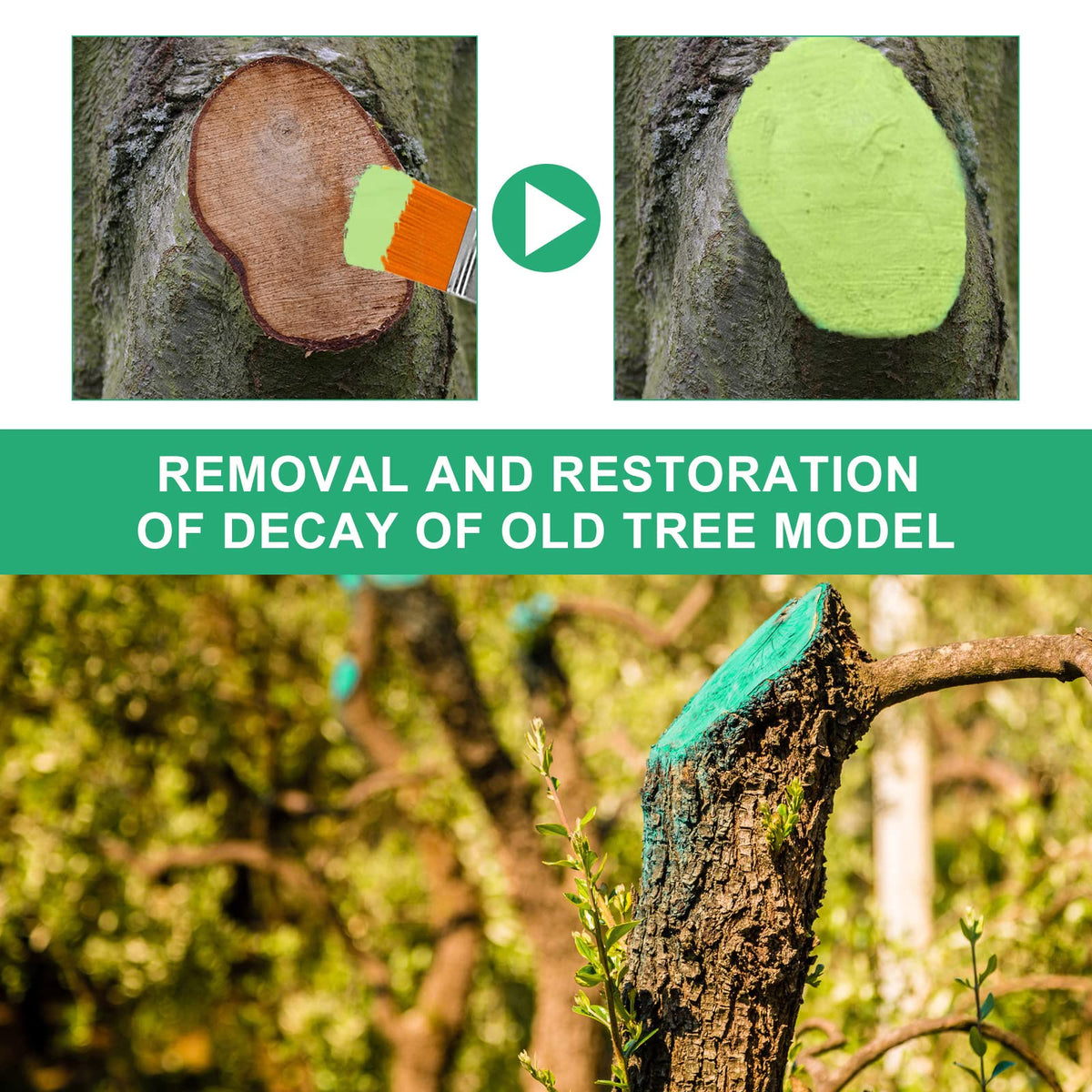 Zriechs Tree Wound Sealer reduces scarring and promotes healing.