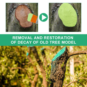 Zriechs Tree Wound Sealer reduces scarring and promotes healing.