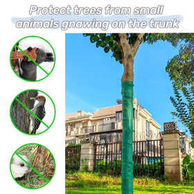 ZSlactp tree wrap helps prevent sunscald on young trees