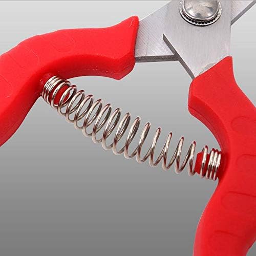 Zsling versatile garden shears ideal for fruit picking and pruning tasks.