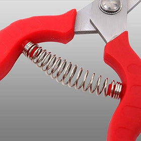 Zsling versatile garden shears ideal for fruit picking and pruning tasks.