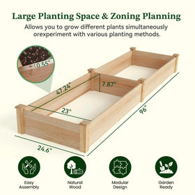 ZSYWODFO bed with divider helps organize herbs and veggies.