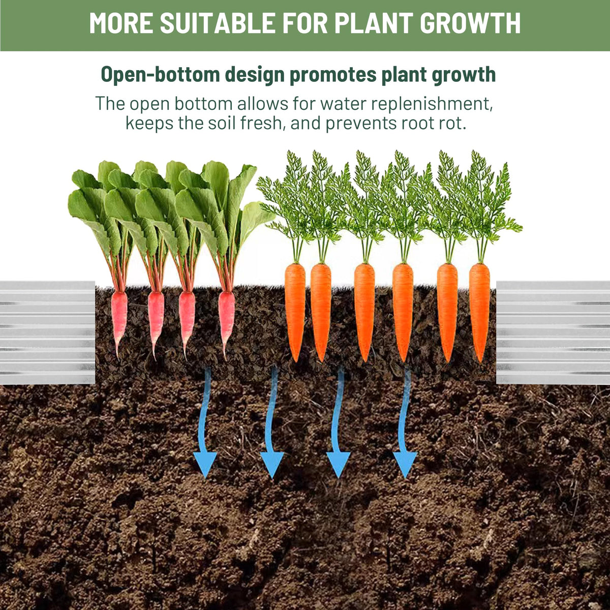 ZUNUDA open-base drainage design prevents root rot for healthier plants