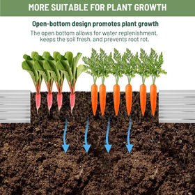 ZUNUDA open-base drainage design prevents root rot for healthier plants