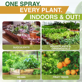 Zuprime Nani’s Neem Oil Spray for outdoor gardens supports healthy growth.