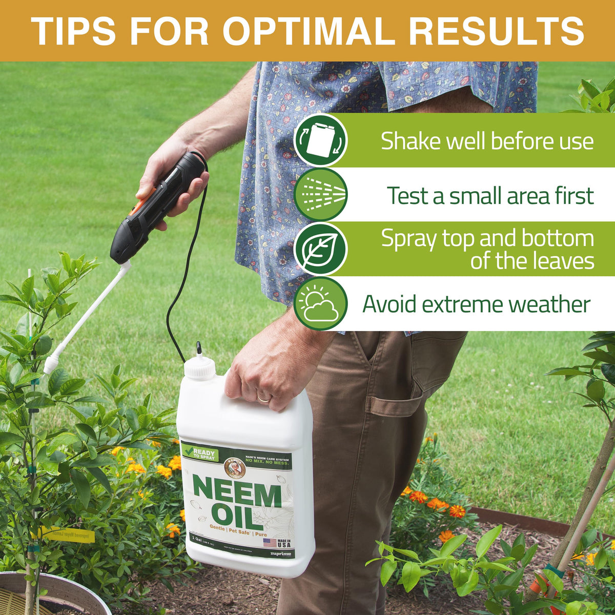 Zuprime Nani’s Neem Oil Spray application demonstrates efficient spraying.