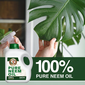 Concentrate ready for dilution for home garden use
