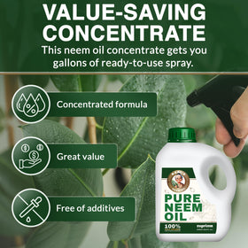 Dilution steps shown for even spray coverage on indoor plants