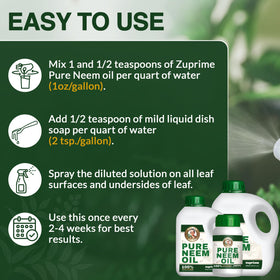 Outdoor garden leaves refreshed by Zuprime Nani’s Neem Oil spray
