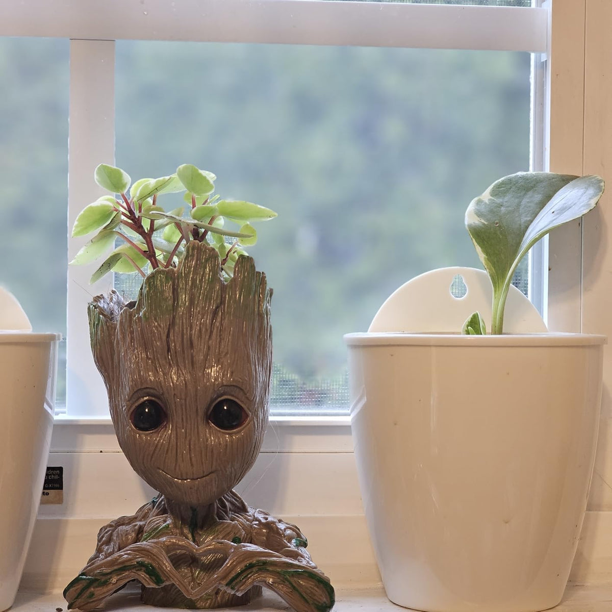 ZUSONUD 6-inch Groot pot suitable for tiny succulents and flowers.