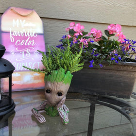 ZUSONUD Groot succulent display adds whimsy to shelves or desks