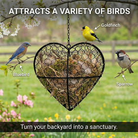 ZUZIF hummingbirds-attraction design invites small birds to nest nearby