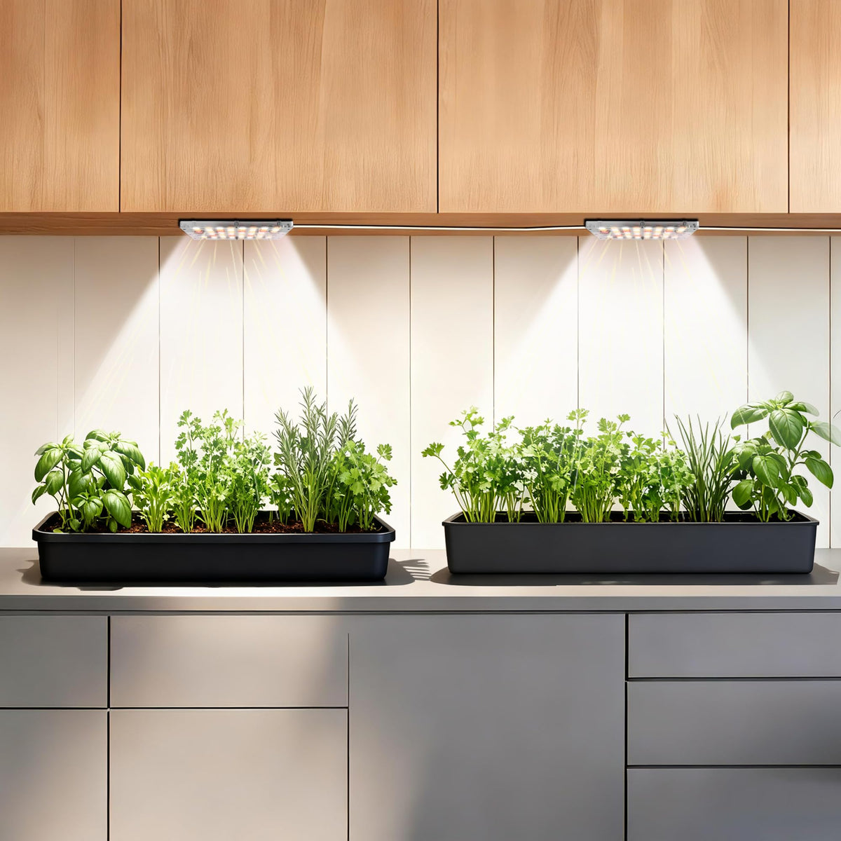 zwveuvs dual-head LED grow light panels deliver even coverage for lush indoor displays