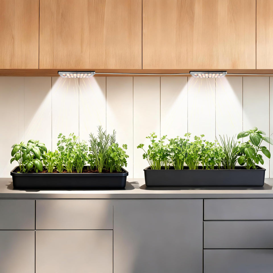 zwveuvs dual-head LED grow light panels deliver even coverage for lush indoor displays