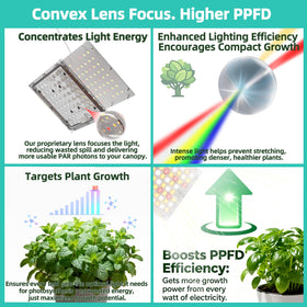 zwveuvs 3500K full-spectrum beam supports healthy plant growth