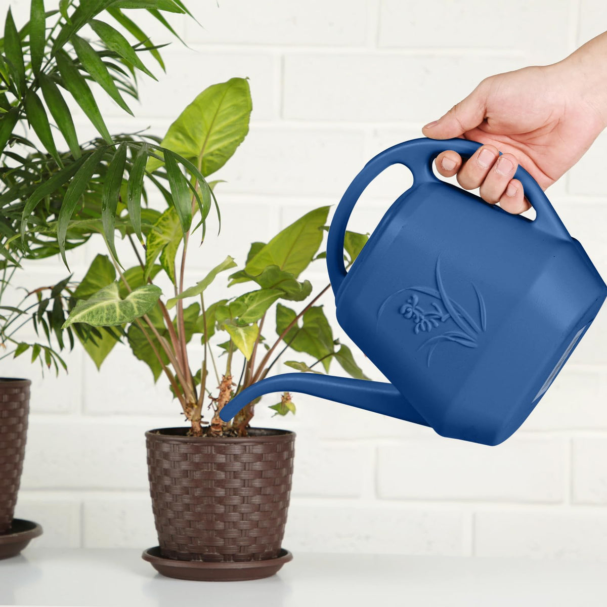 Ideal for flowers and garden pots with controlled, gentle pours from ZXJ can.