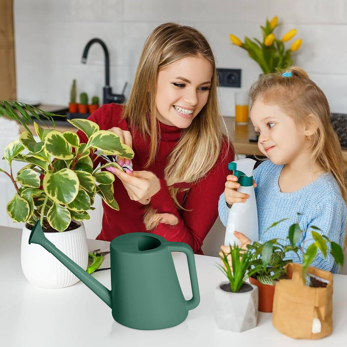 ZXJ plant watering can used indoors with potted plants