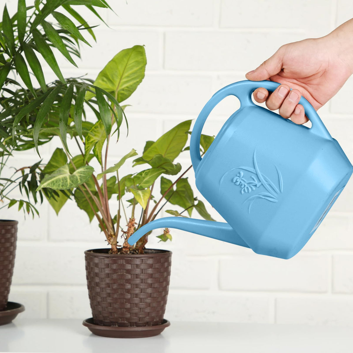 ZXJ Skye Blue ideal for indoor plant watering including shelves and desks