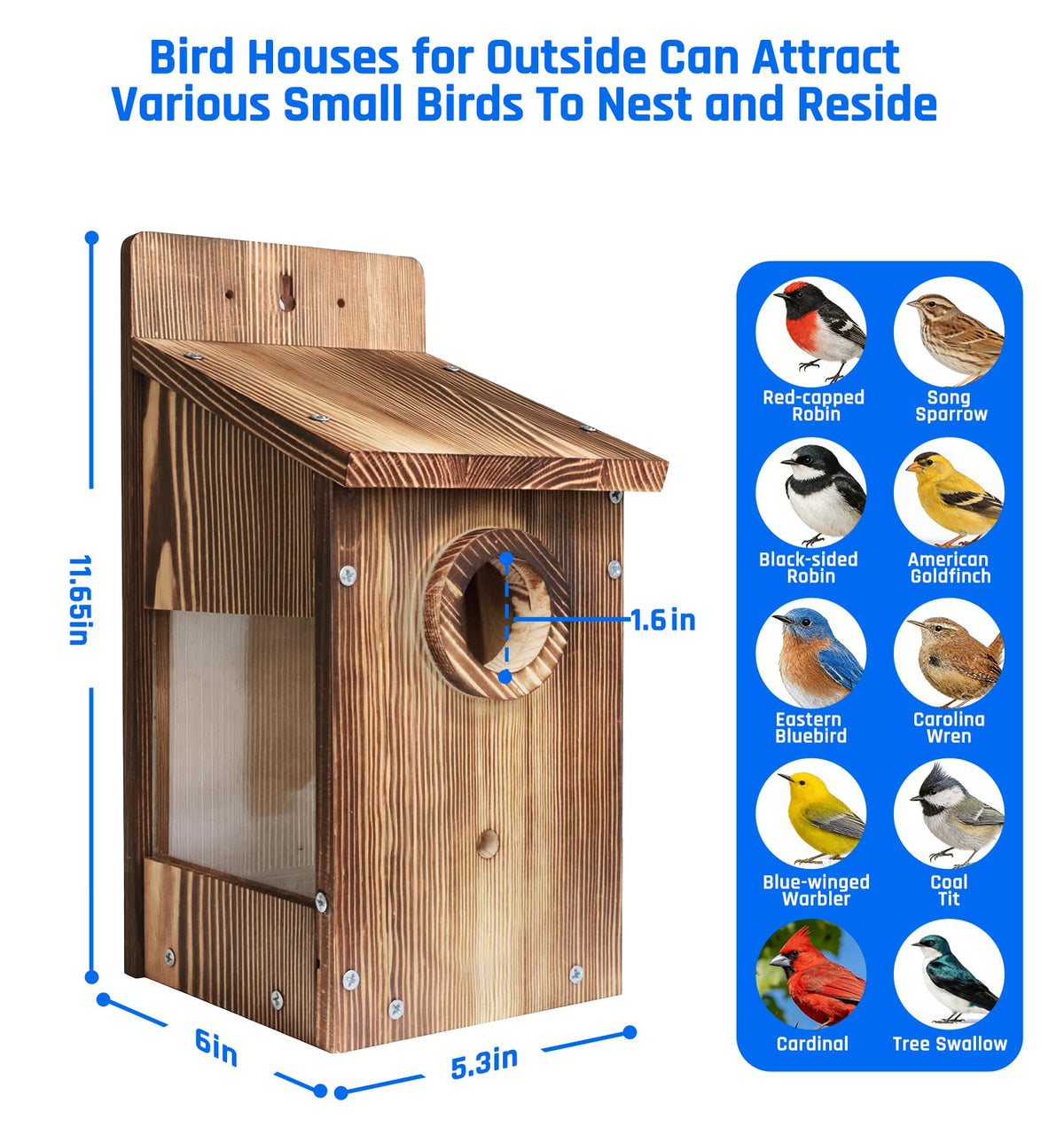 Zxweqr birdhouse clear view panel allows observing nesting activity without disturbance