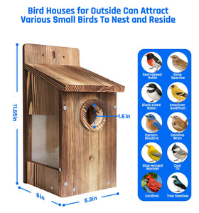 Zxweqr birdhouse clear view panel allows observing nesting activity without disturbance