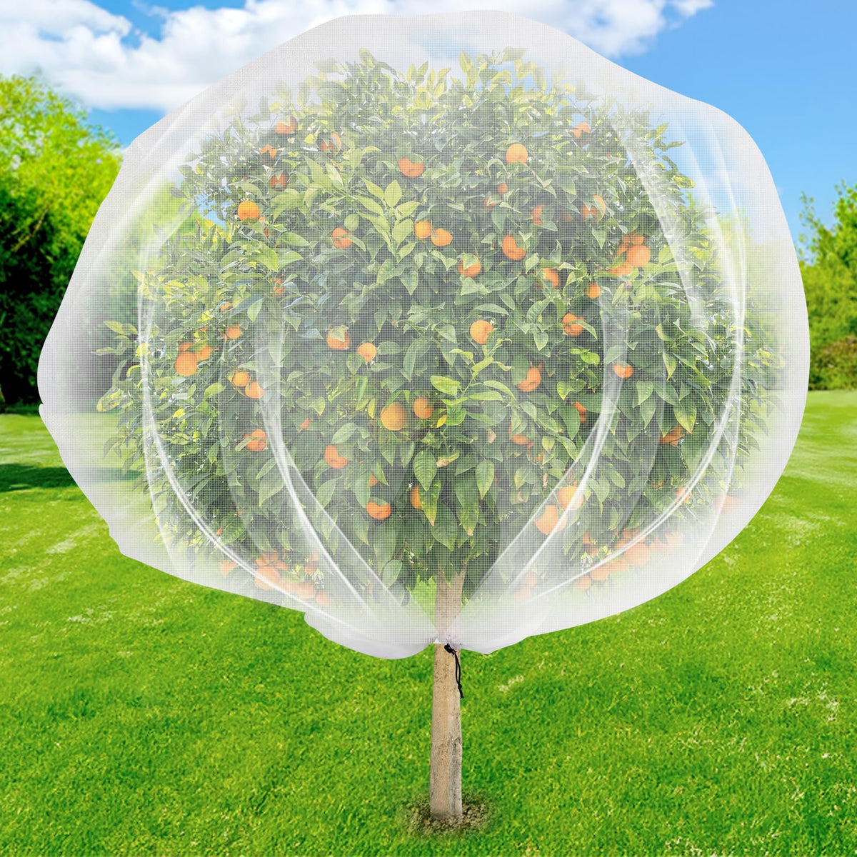 ZYP fruit tree netting with drawstring closure protects trees from birds.