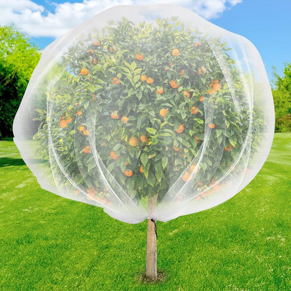 ZYP fruit tree netting on a tree protecting blossoms from birds while allowing light