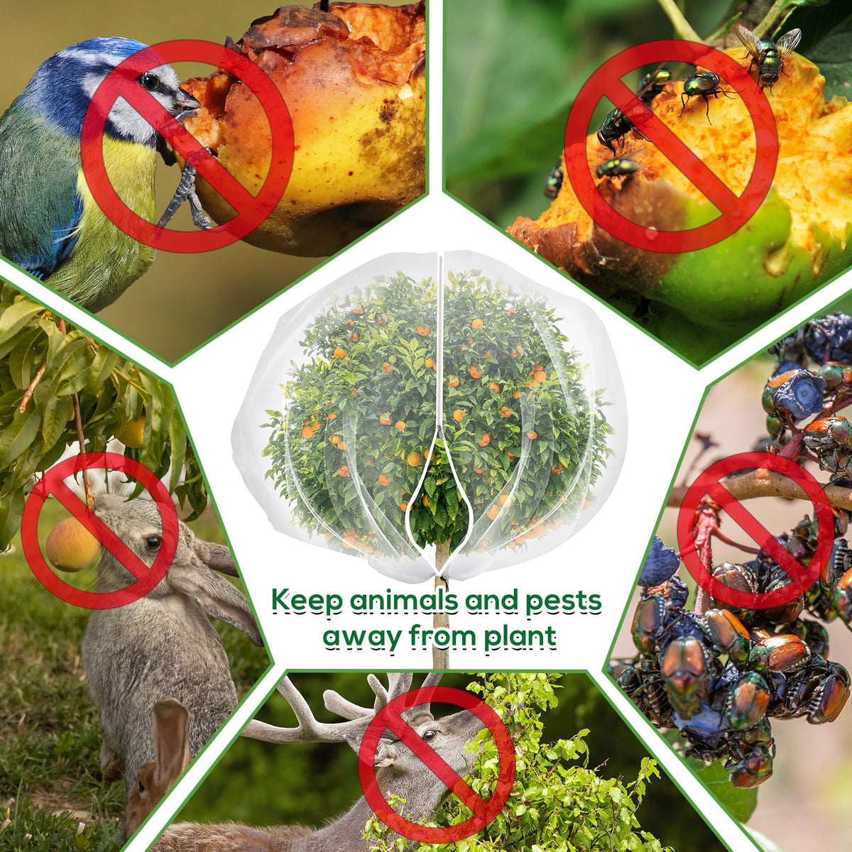 ZYP nylon plant cover for trees guards blossoms during high-risk seasons while staying lightweight.
