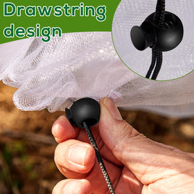 Citrus, apple, peach, and more enjoy protective, breathable coverage from ZYP netting.