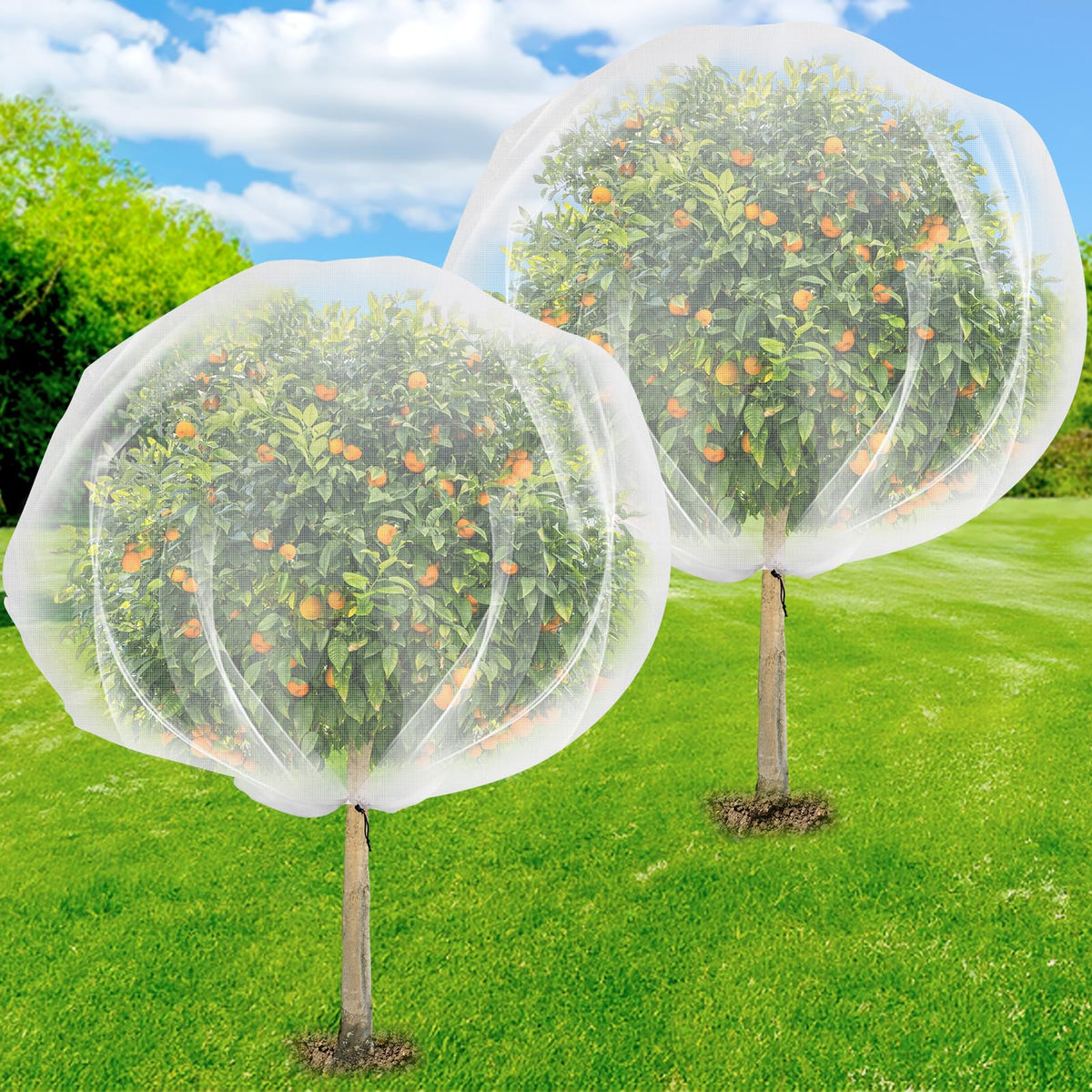 ZYP fruit tree netting close-up showing ultra-fine mesh protecting blooms with airflow