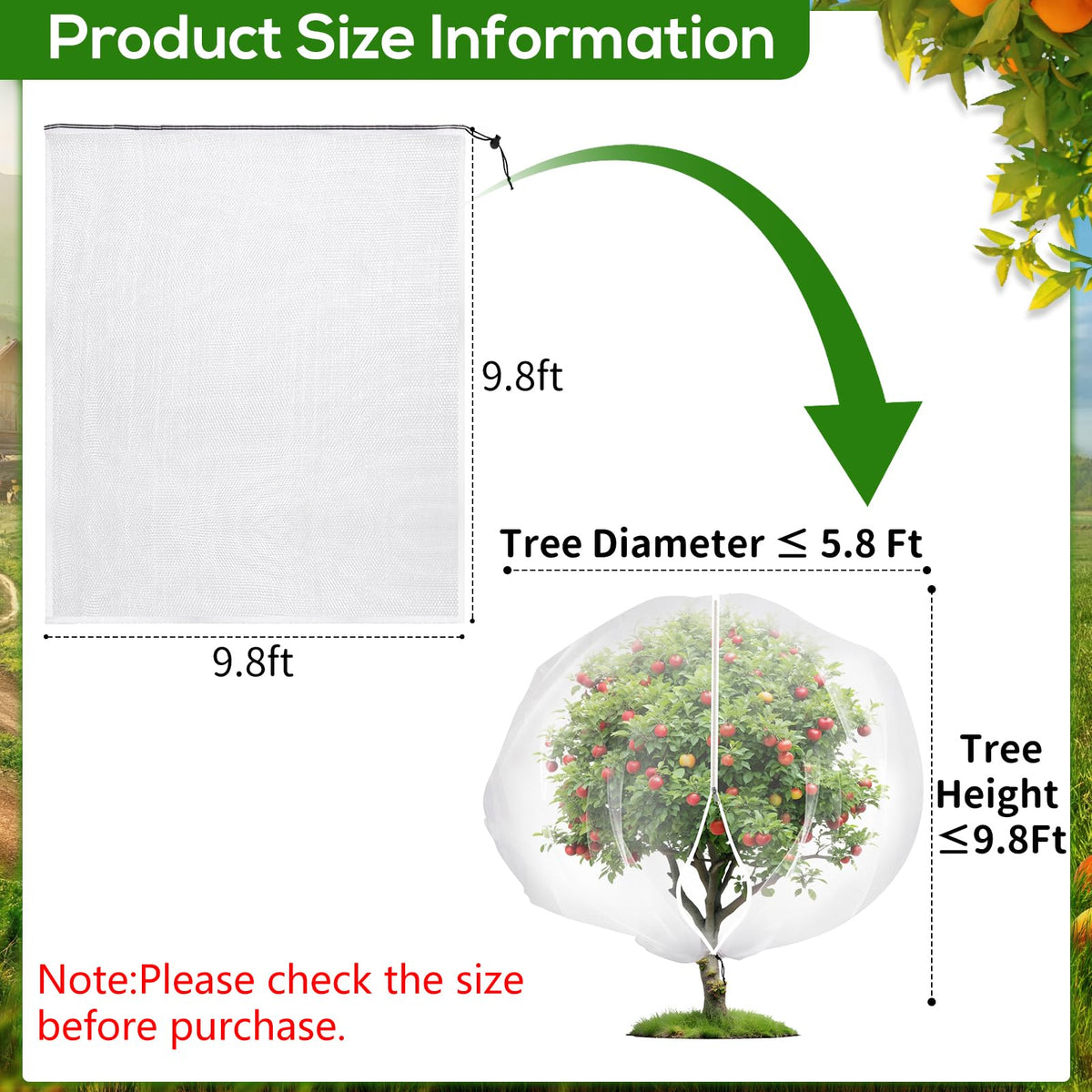 ZYP transparent insect netting secures fruit shrubs while providing visibility and airflow.